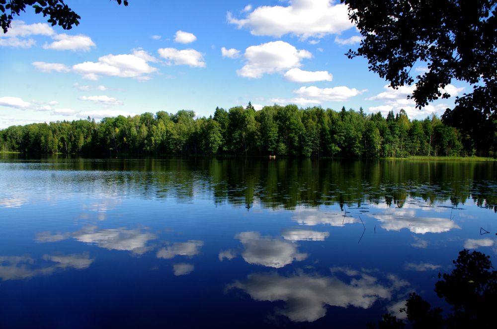 Photograph by Светлана Герасимчук