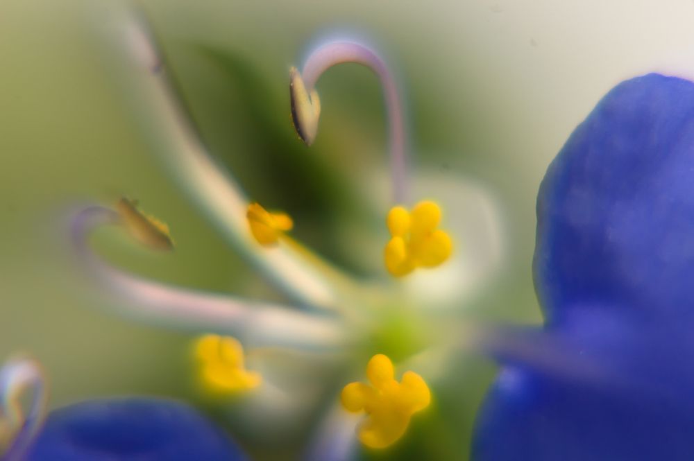 Photograph by Guillermo Topp