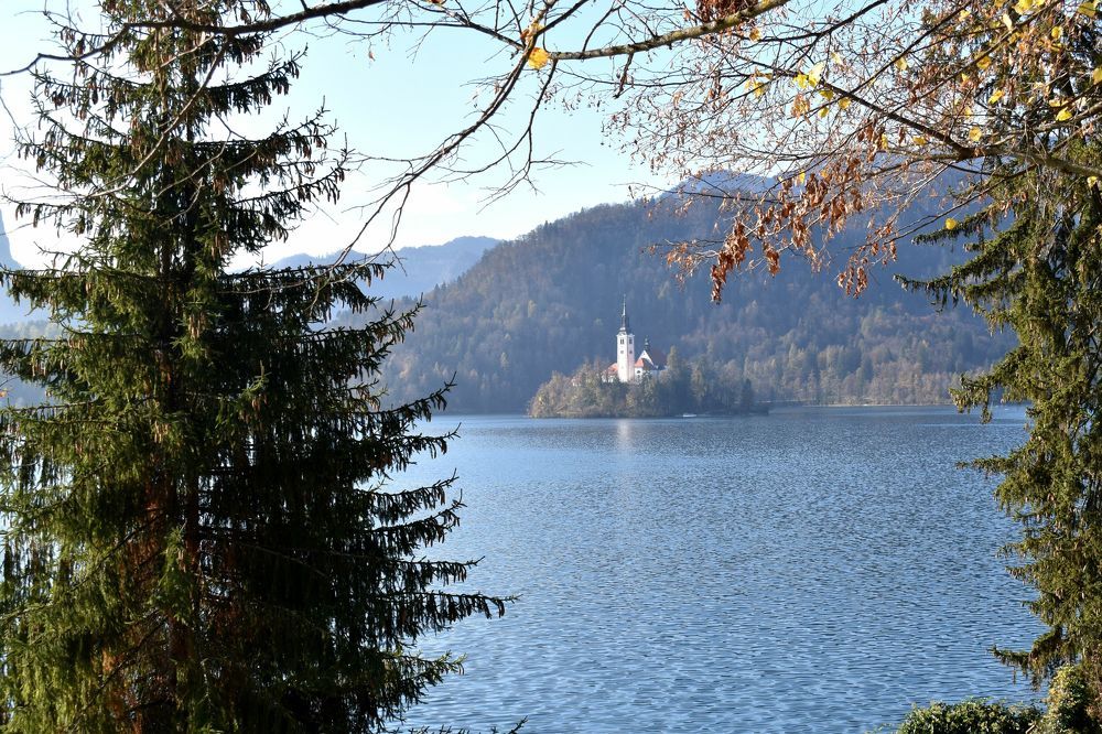 Photograph by RADOVAN TEODOROVIĆ