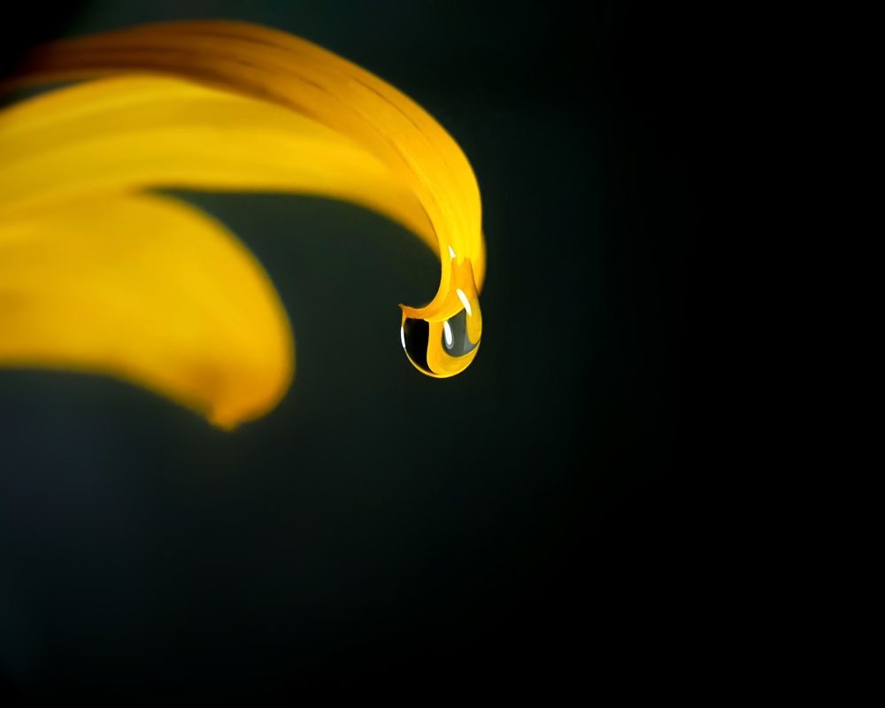 Photograph by NGUYEN LIEN