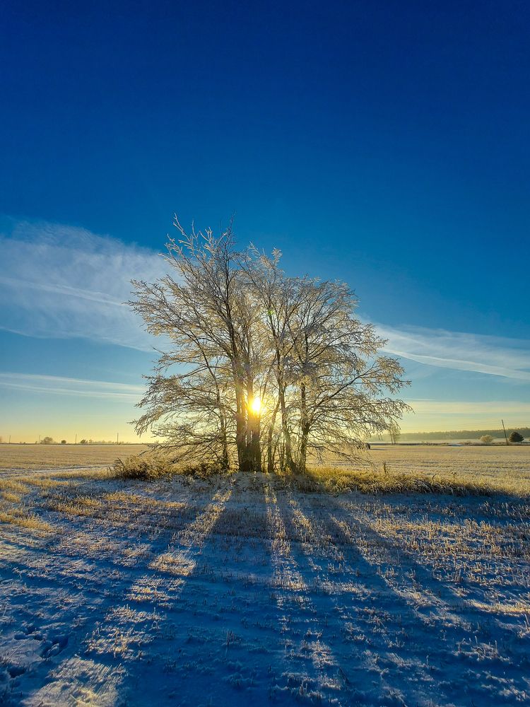 Photograph by Игорь Степанов
