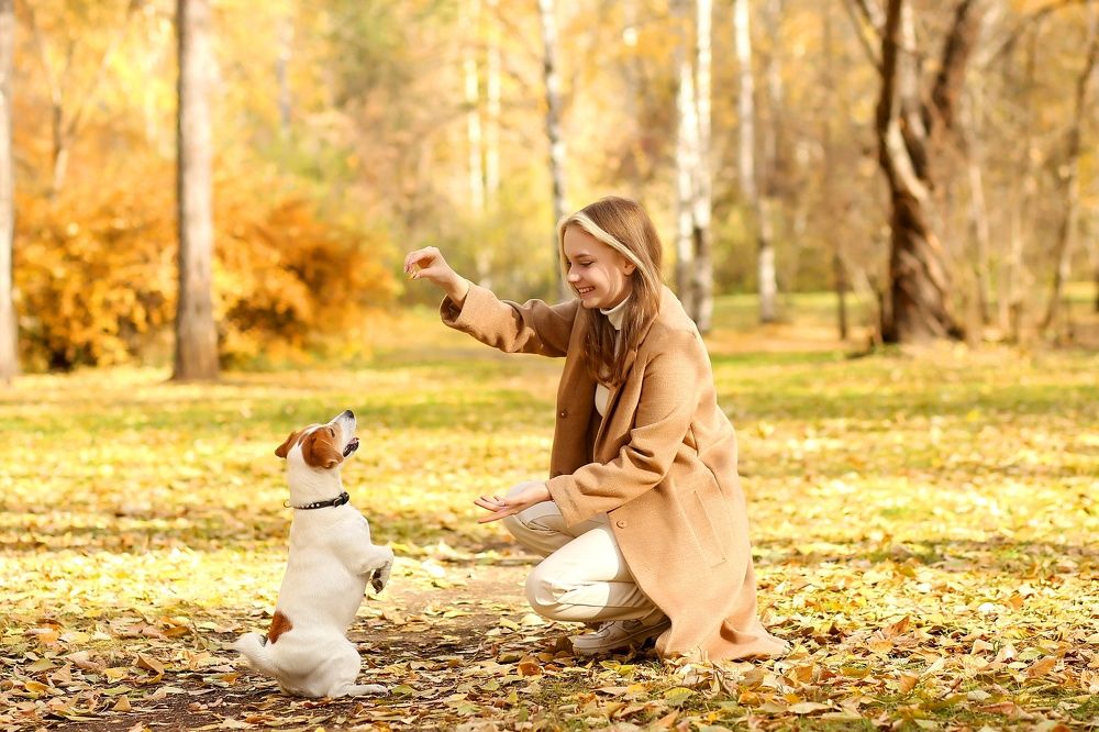 Photograph by Елена Луткова