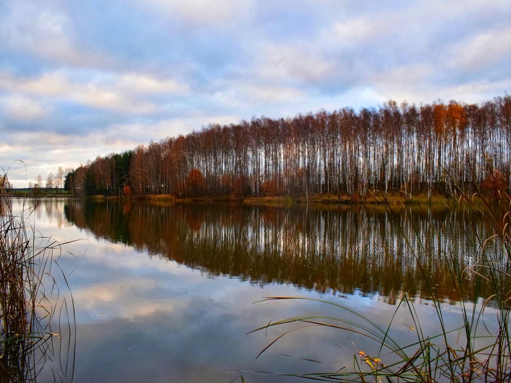 Photograph by Алеся Цеван