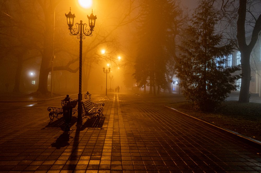 Photograph by 