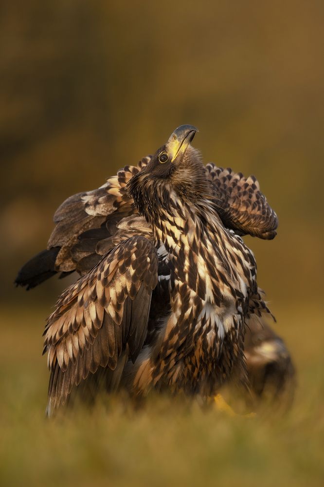 Photograph by Ernestas Balcikonis