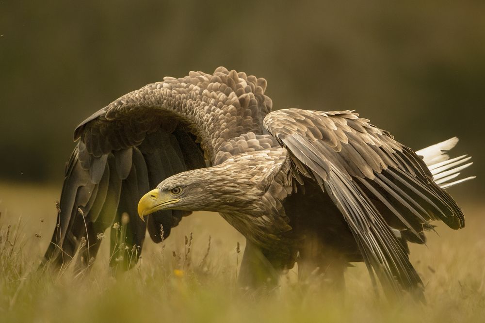 Photograph by Ernestas Balcikonis