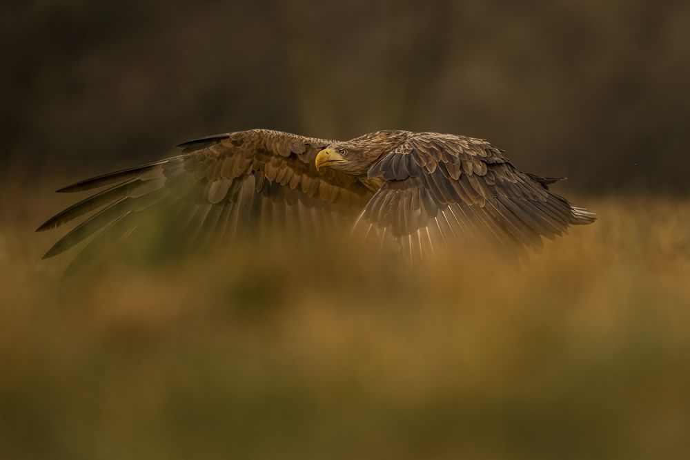 Photograph by Ernestas Balcikonis