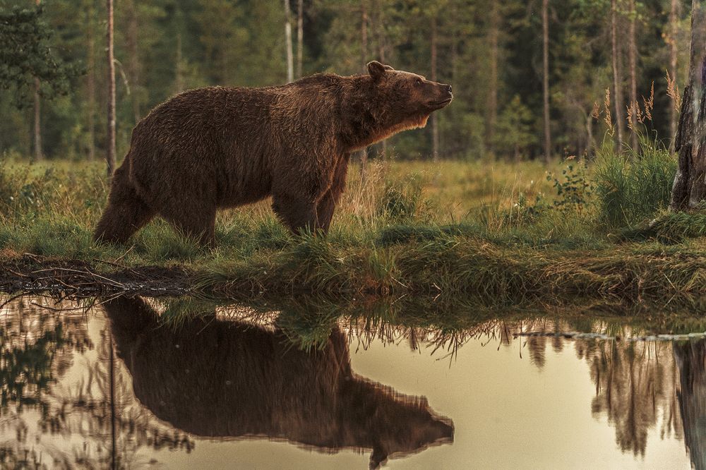 Photograph by Ernestas Balcikonis