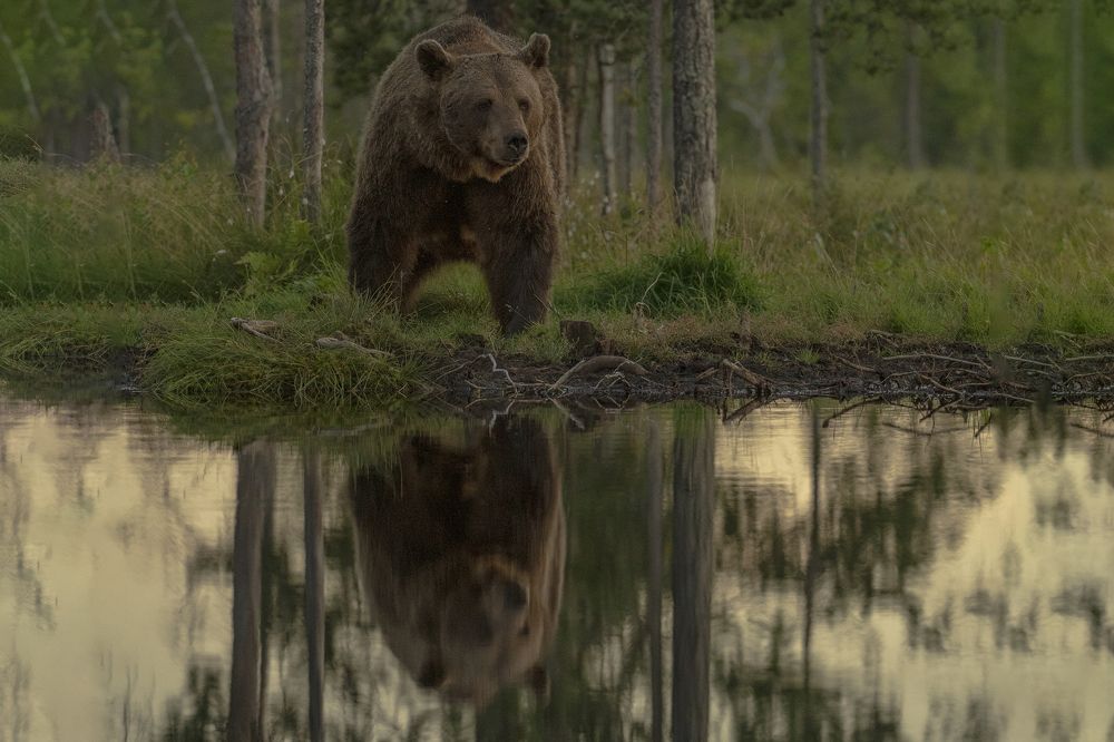 Photograph by Ernestas Balcikonis