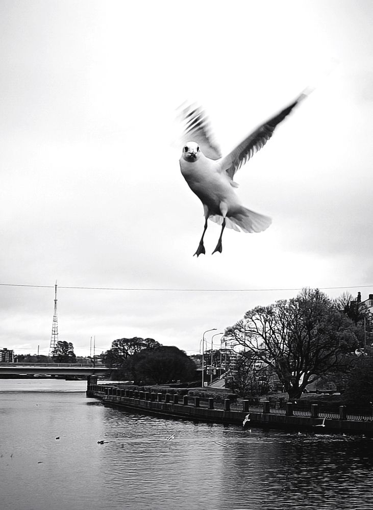 Photograph by Марина Хохрякова