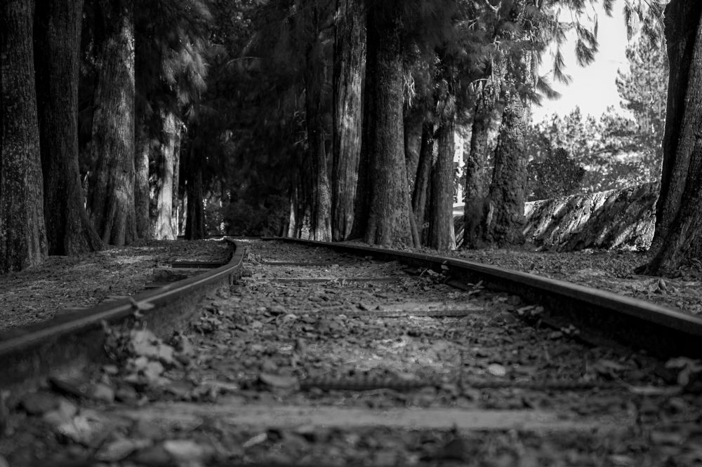 Фотография автора Francisco Sanchez