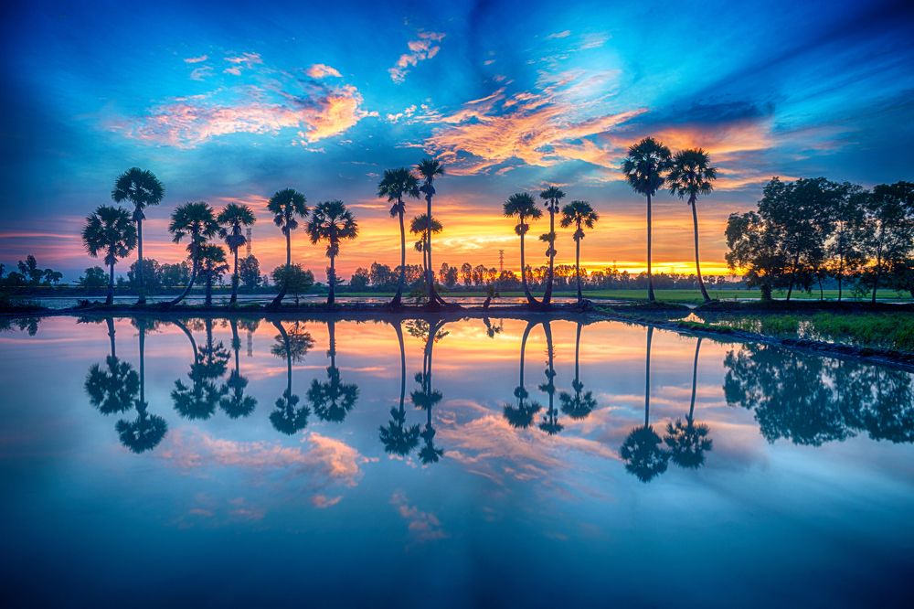 Photograph by Nguyễn Sơn