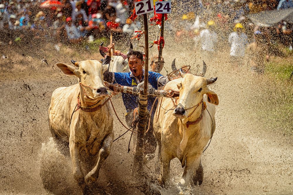 Photograph by Nguyễn Sơn