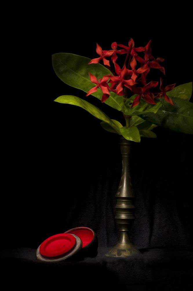 Photograph by saikat chanda