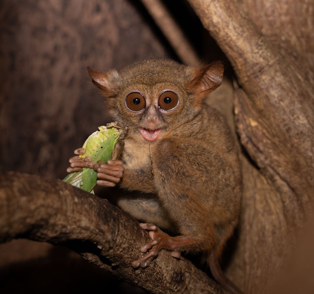 Photograph by Владимир Цветов