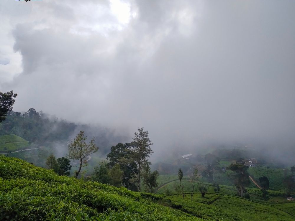 Photograph by lahiru sandaruwan