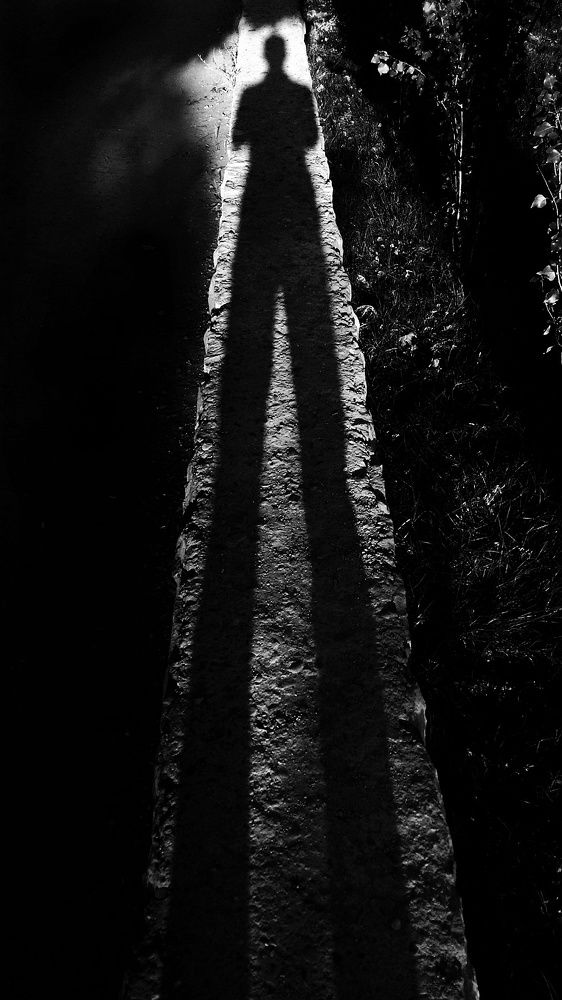 Photograph by Shamal Shakibayi