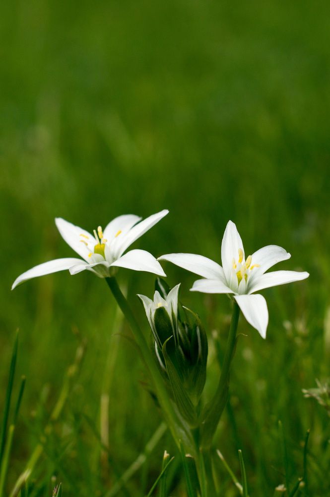 Photograph by Нина Шкляр
