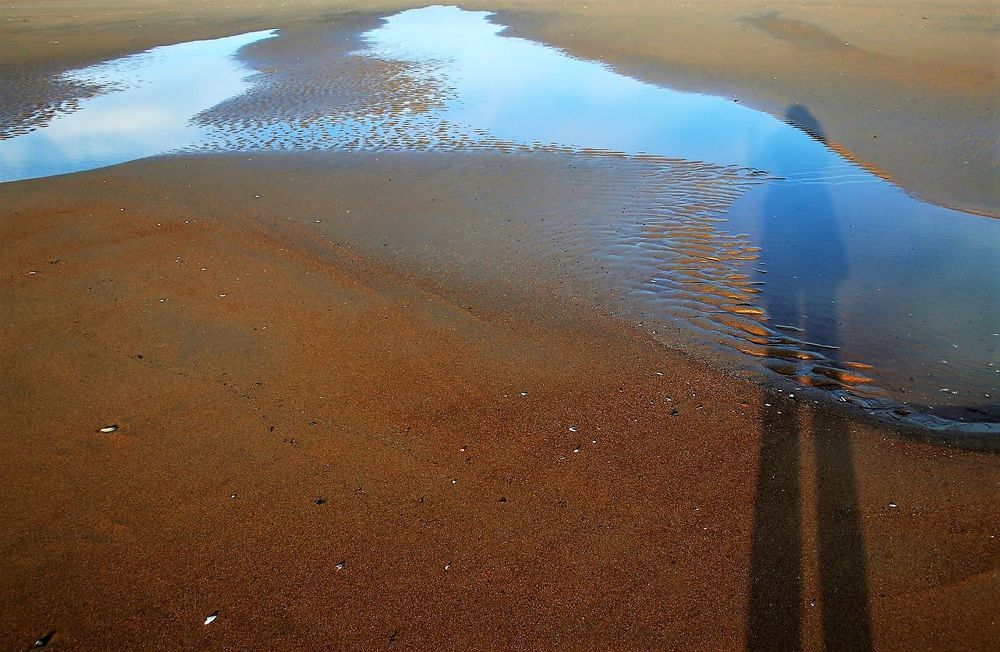 Фотография автора caroline martin (dony)