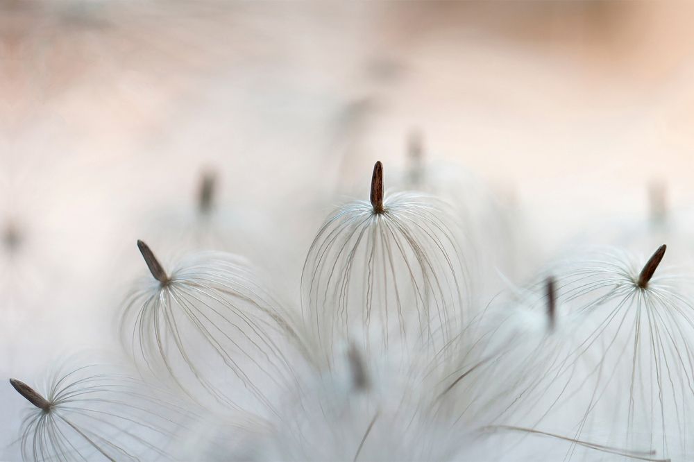 Фотография автора Екатерина Молодкина