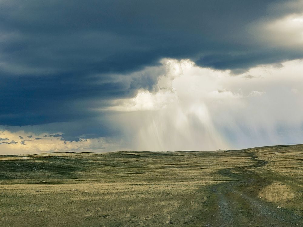 Photograph by Александра Петрова