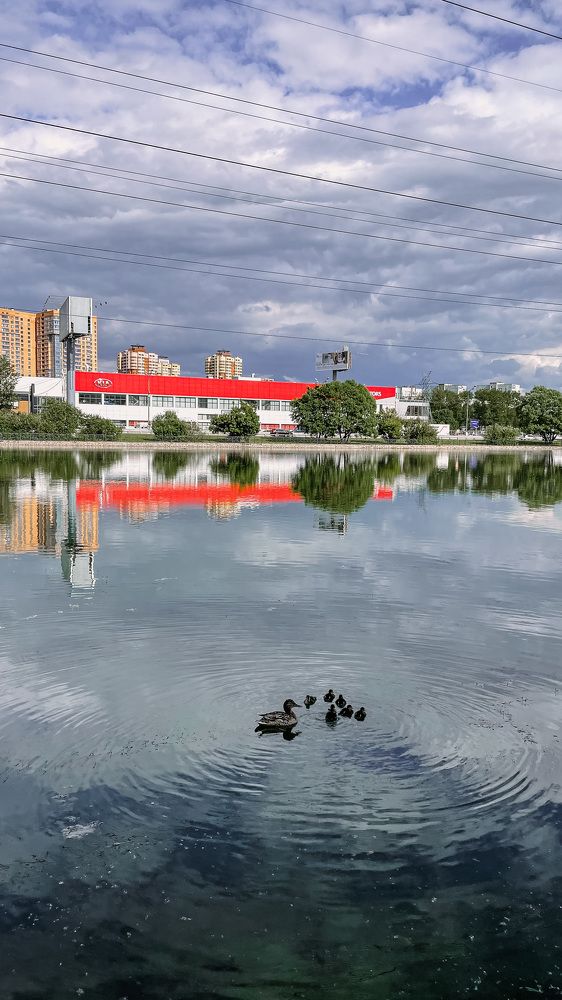 Photograph by Татьяна Шевченко