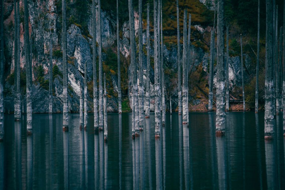 Photograph by Александр Кузовков