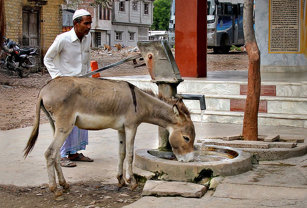 Photograph by Shibram Nag