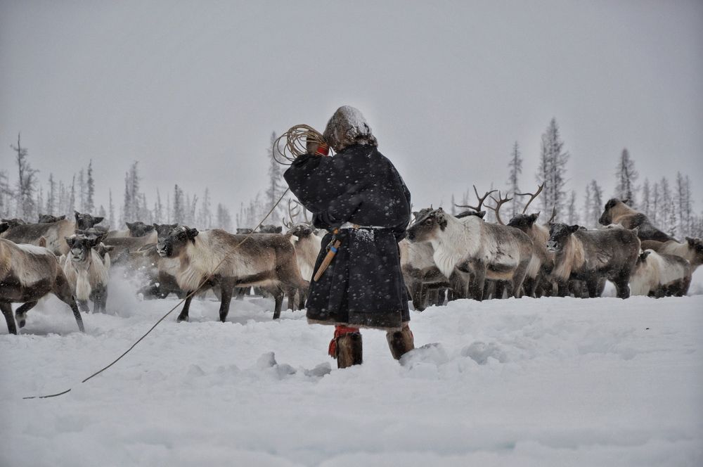 Photograph by Диана Куйбина