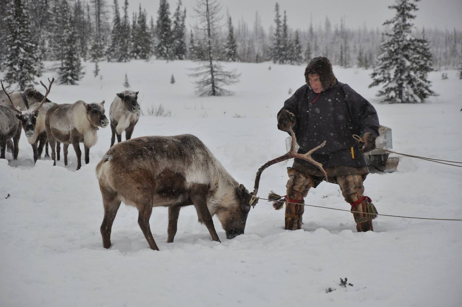 Photo #8423973