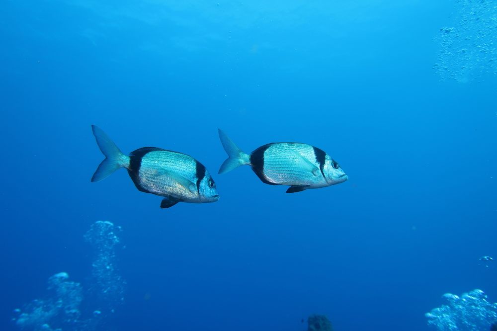 Photograph by constandinos