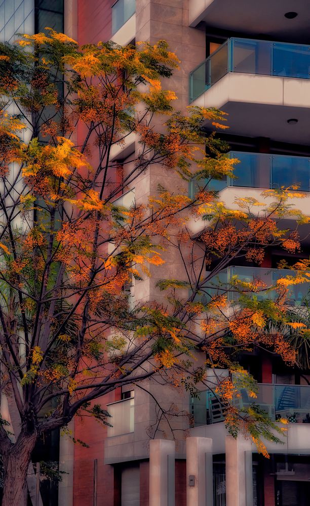 Photograph by Rustu Erata