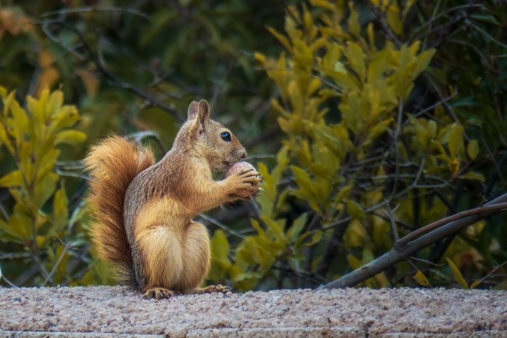 Photograph by sadegh alavi