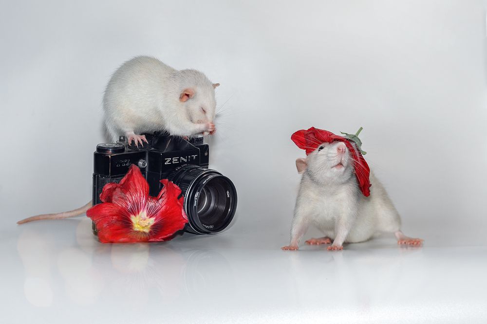 Photograph by Valentina Suvorova