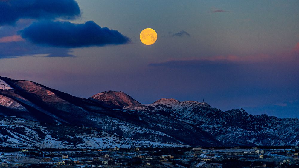 Photograph by Alex Kalpus