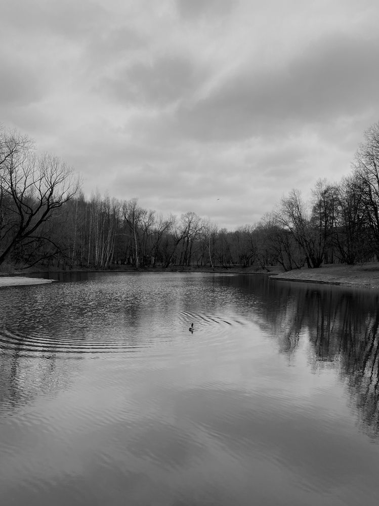 Photograph by Ирина Серегина