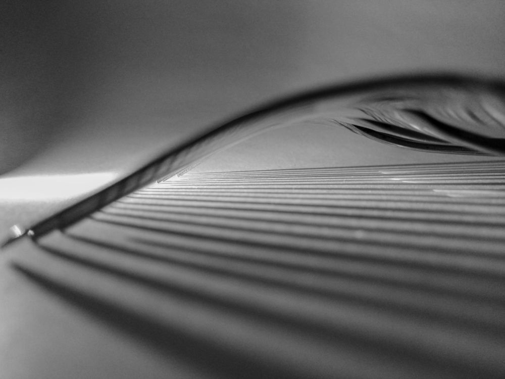 Photograph by Дарья Витальевна