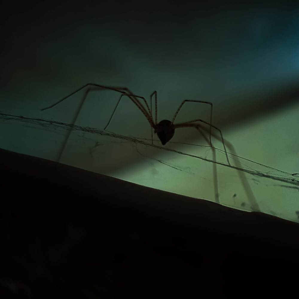 Photograph by Muneeb Ahmad