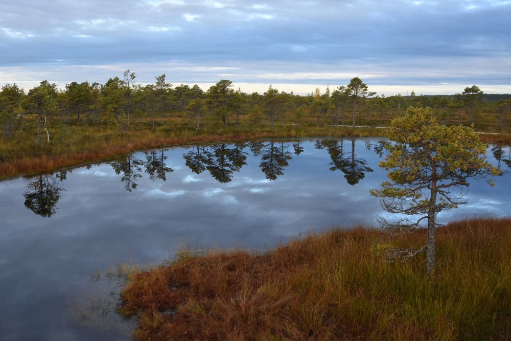 Photograph by Žaneta Bytautiene