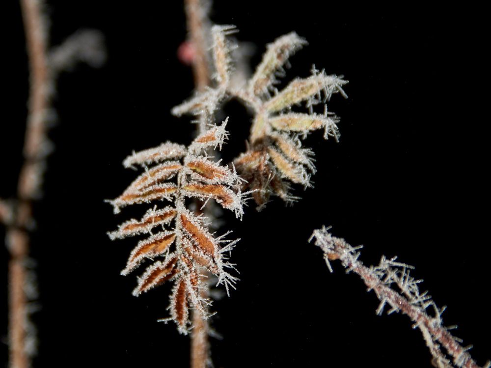 Photograph by Алексей Швецов