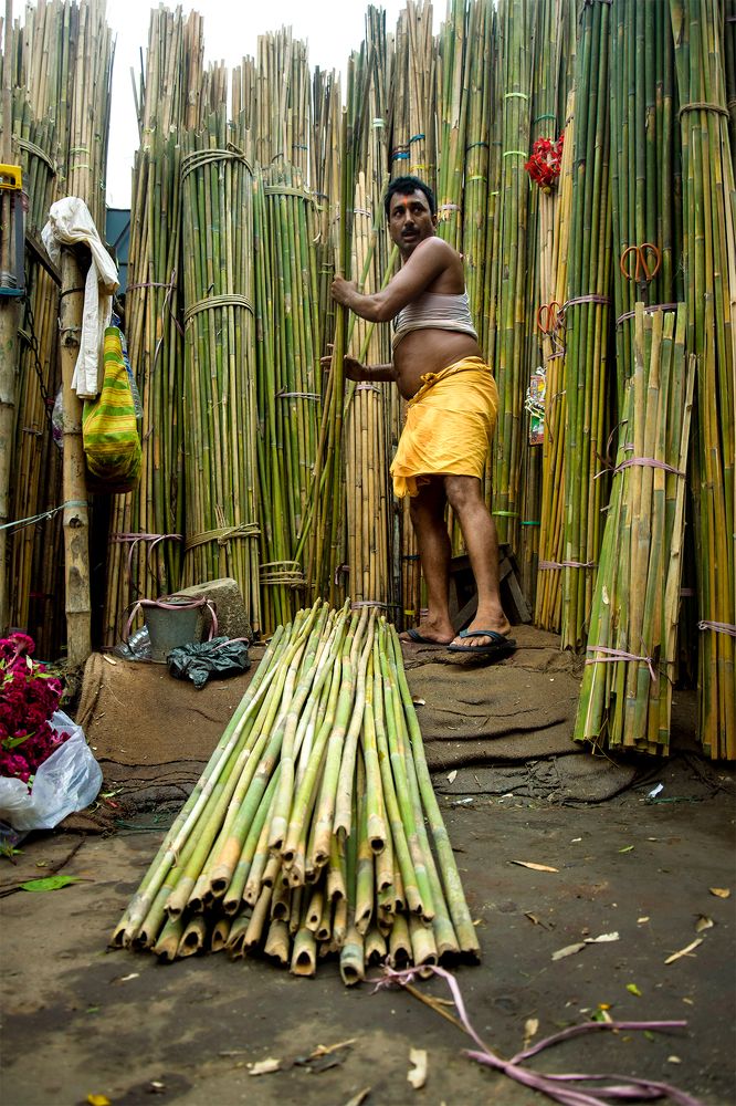 Photograph by animesh sen sarma