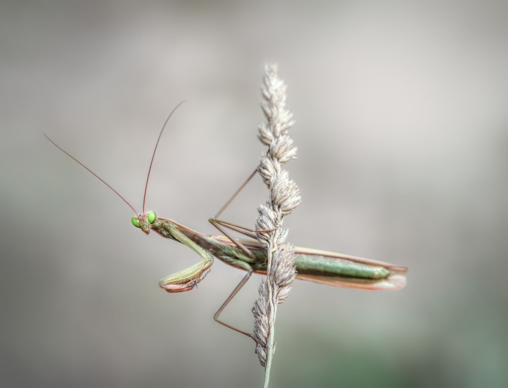 Photograph by Tiago Marques