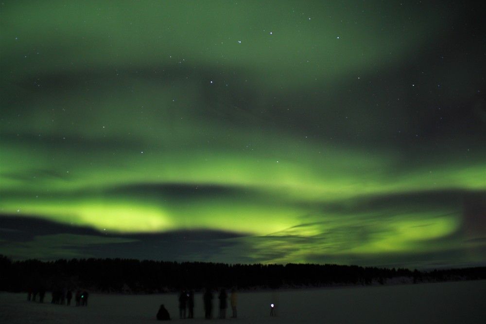 Фотография автора Светлана Овчинникова(Терехова)