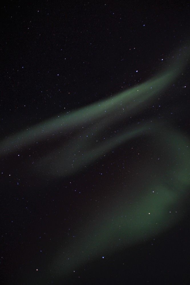 Фотография автора Светлана Овчинникова(Терехова)