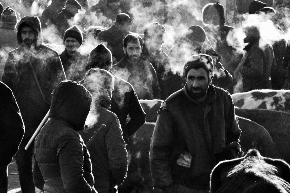 A cold morning in the cattle market