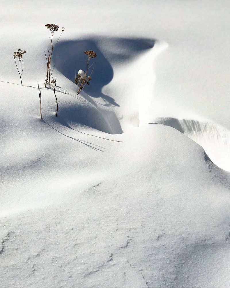 Photograph by Татьяна Волохова