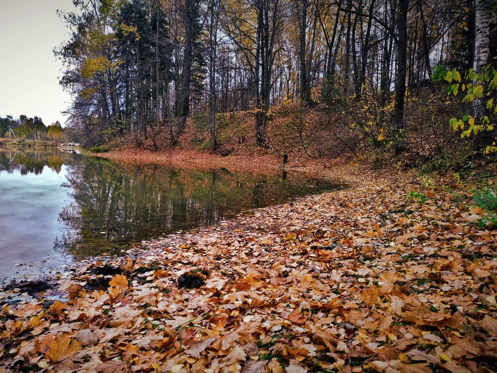 Река Чалвенка