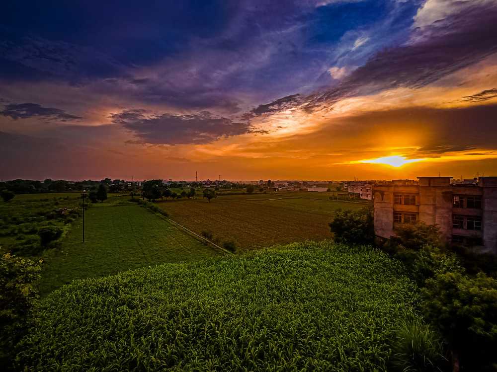 Nature Beauty