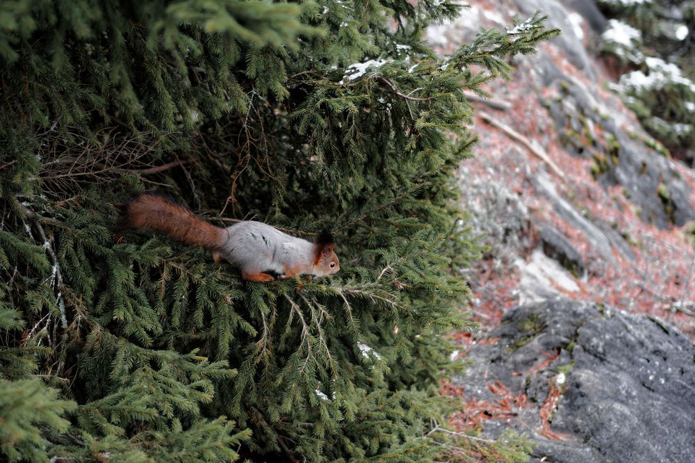 Photograph by Павел Ившин