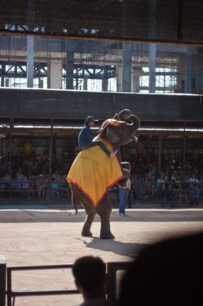 Photograph by Олег Терешкин